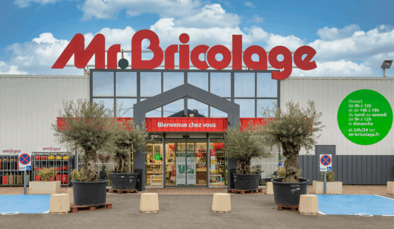Offre d’emploi de Réceptionniste : Mr.Bricolage